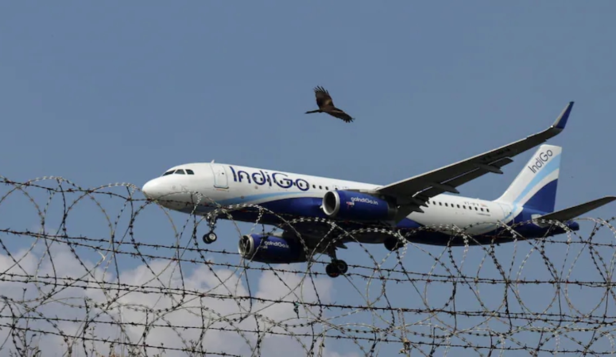 moody report reveals the impact of the indigo crisis on the company where did the mistake happen