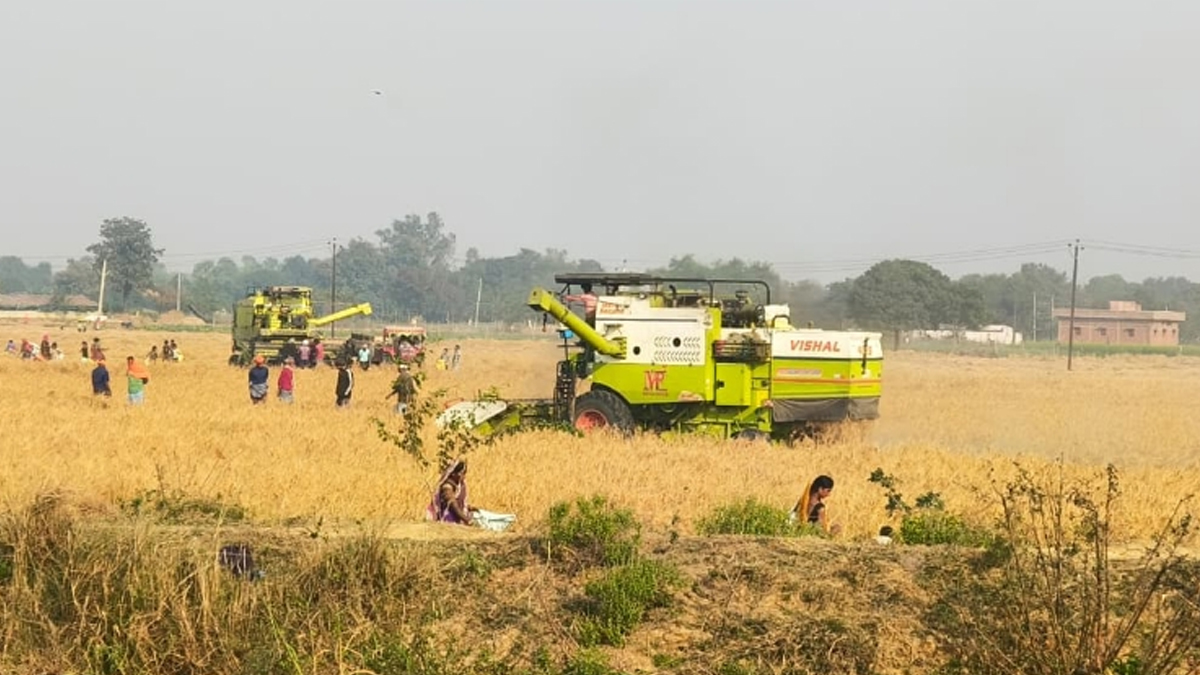 lost village culture and farming traditions fading away