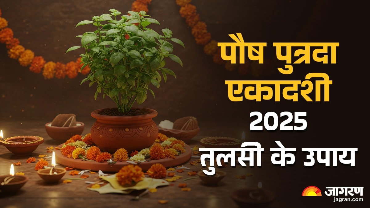 paush putrada ekadashi 2025 perform tulsi related remedies on paush putrada ekadashi and you will become prosperous