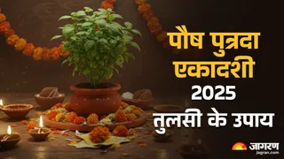 Paush Putrada Ekadashi 2025: पौष पुत्रदा एकादशी के उपाय।