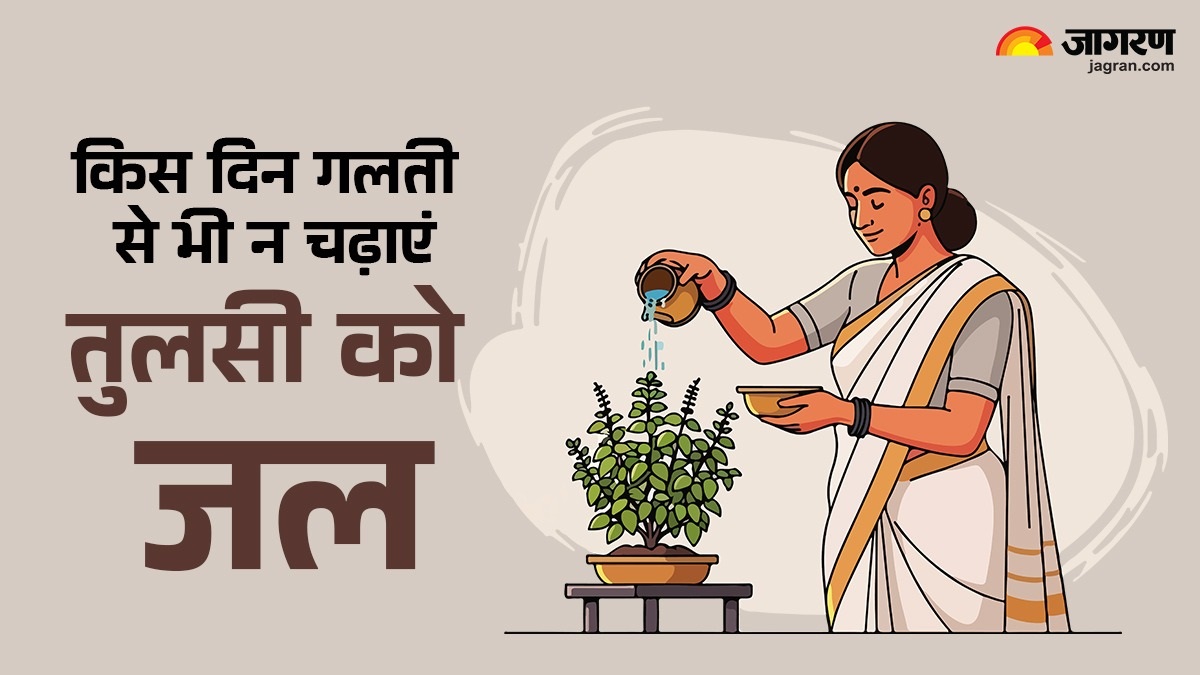 tulsi ji when not to water tulsi days to avoid