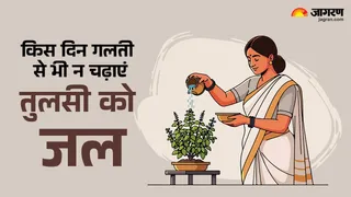 Tulsi Puja: तुलसी पूजा के नियम।