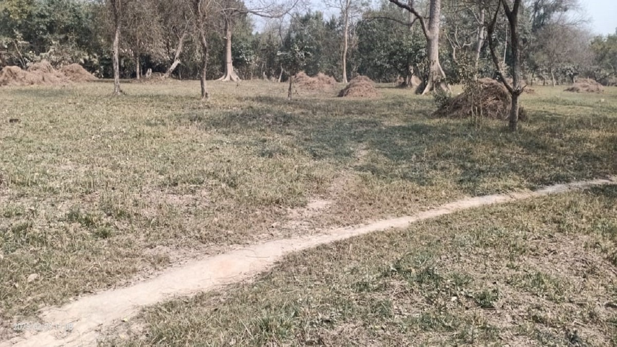 efforts to increase the number of herbivorous animals through grassland in vtr