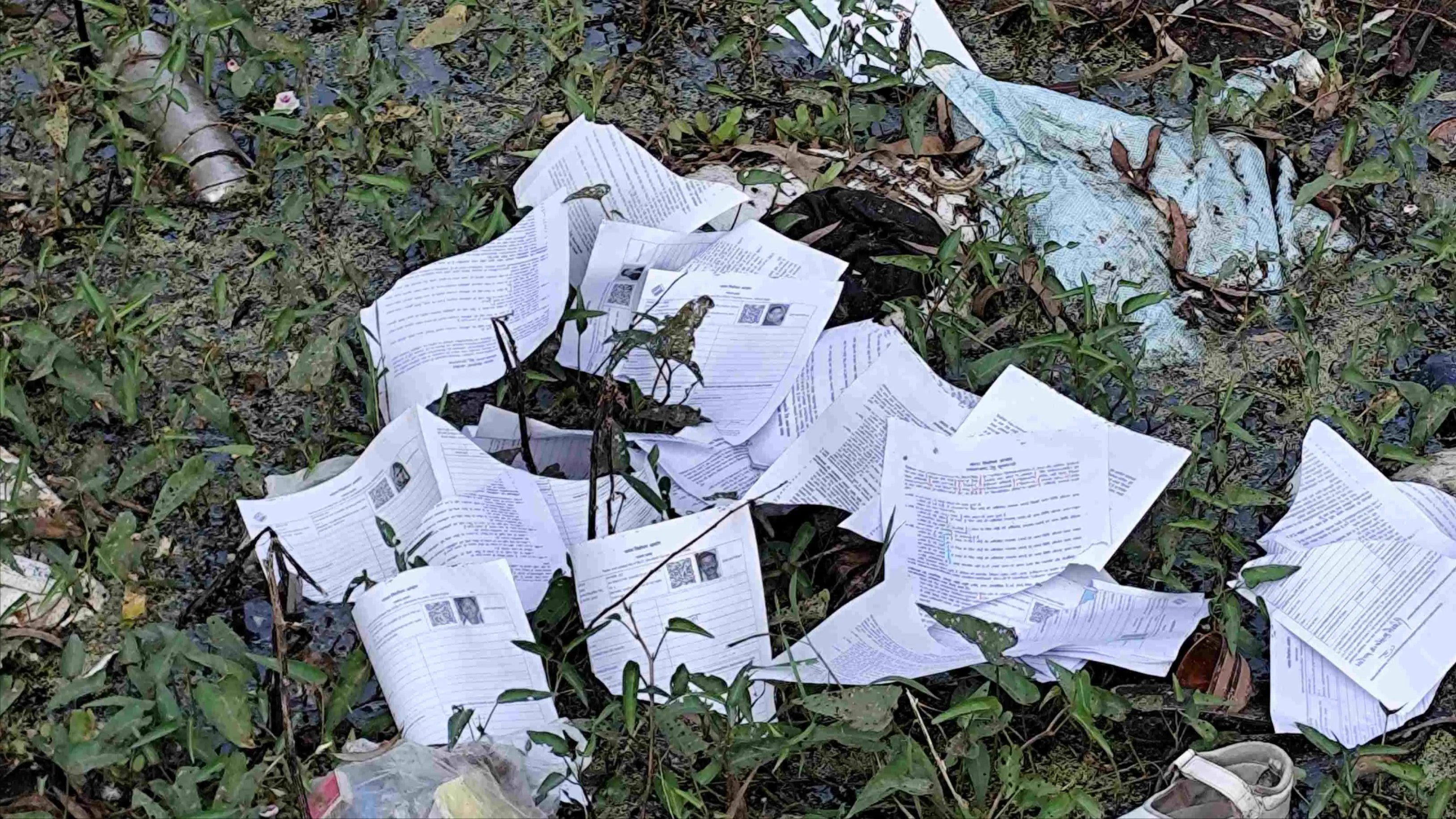 बहन का नाम न होने पर युवक ने फाड़े गणना प्रपत्र, बीएलओ की तहरीर पर एफआईआर दर्ज
