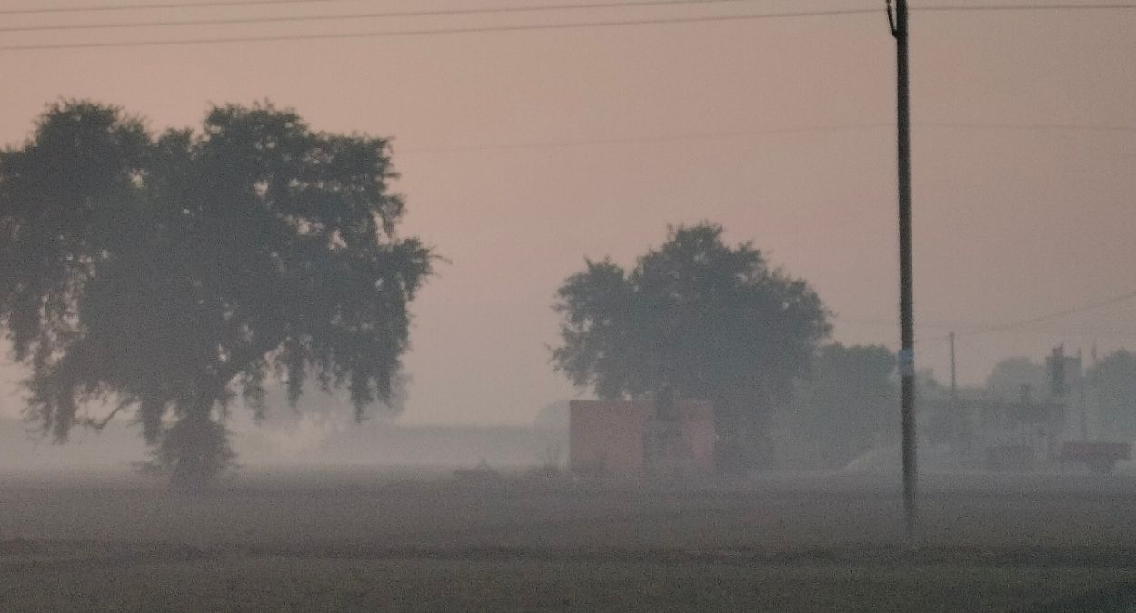 western wind blows during the day weather will change after two days cold wave since december 15 threat of frost looms over wheat crop