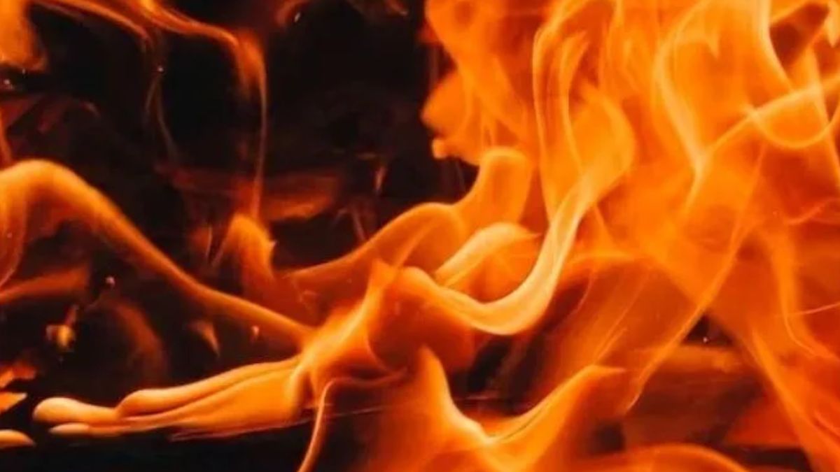 gurgaon man kills wife over family dispute