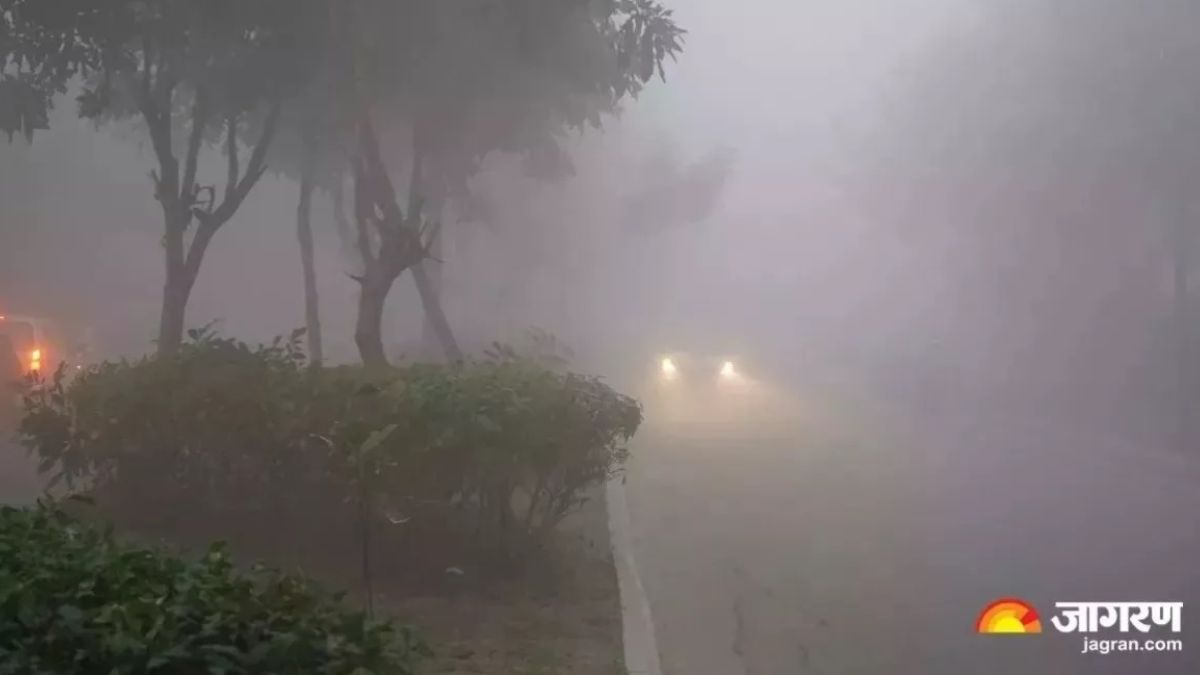 uttarakhand weather update frost in hills fog in plains as temperature drops in dehradun
