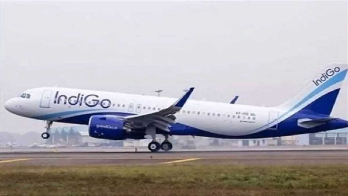 indigo crisis chandigarh indigo has cancelled two flights so far today with eight arrivals and departures delayed by just a few minutes