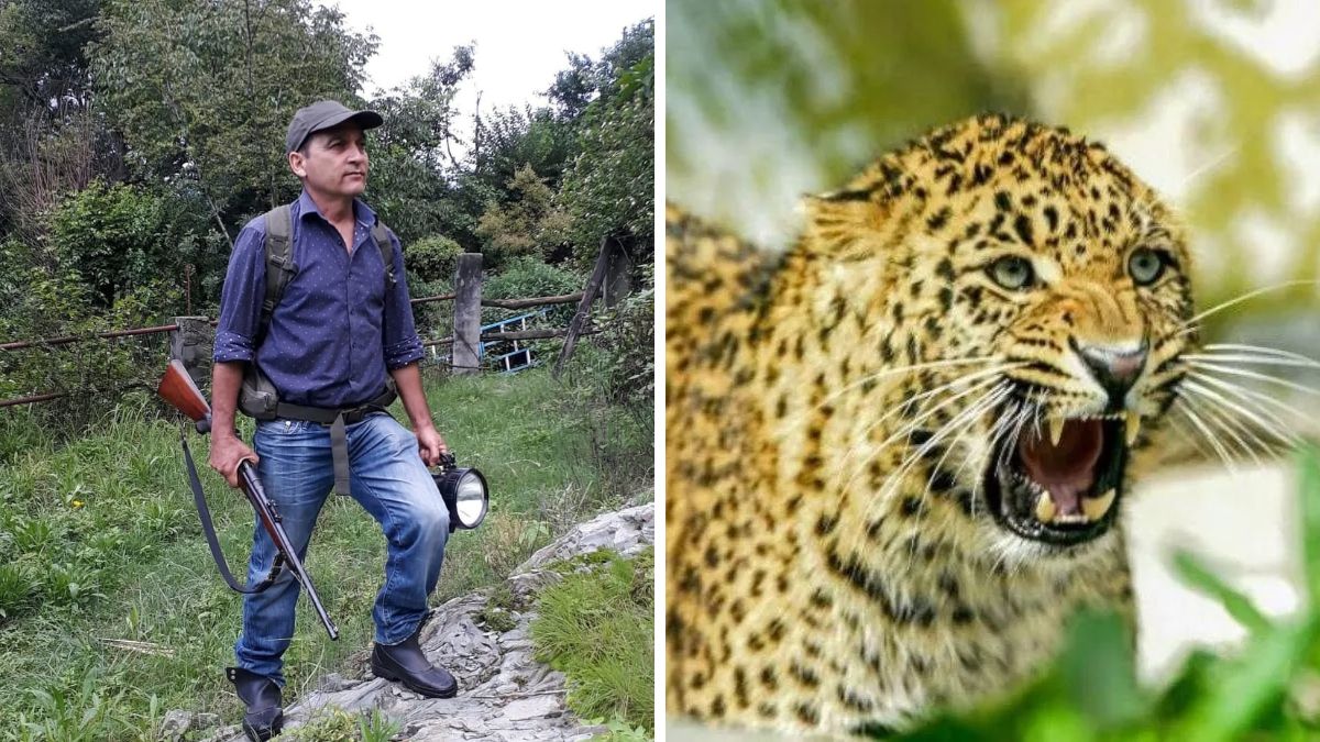 famous hunter joy hukil pick up gun to kill man eater leopard in gazald village