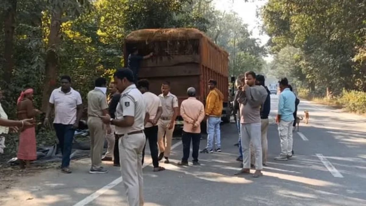 odisha 30 cows dead in truck smugglers flee