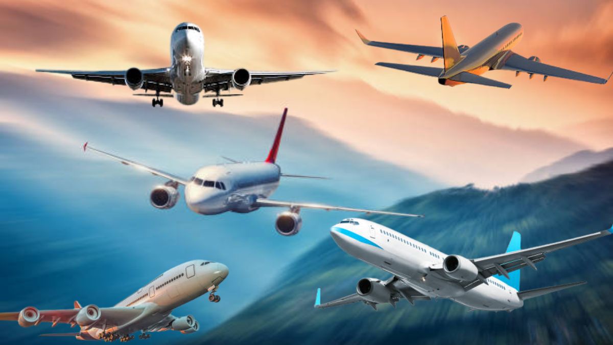 top 10 largest airlines in the world by fleet size including indigo