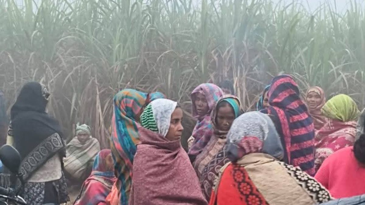 farmer trampled to death by elephants in up village in panic