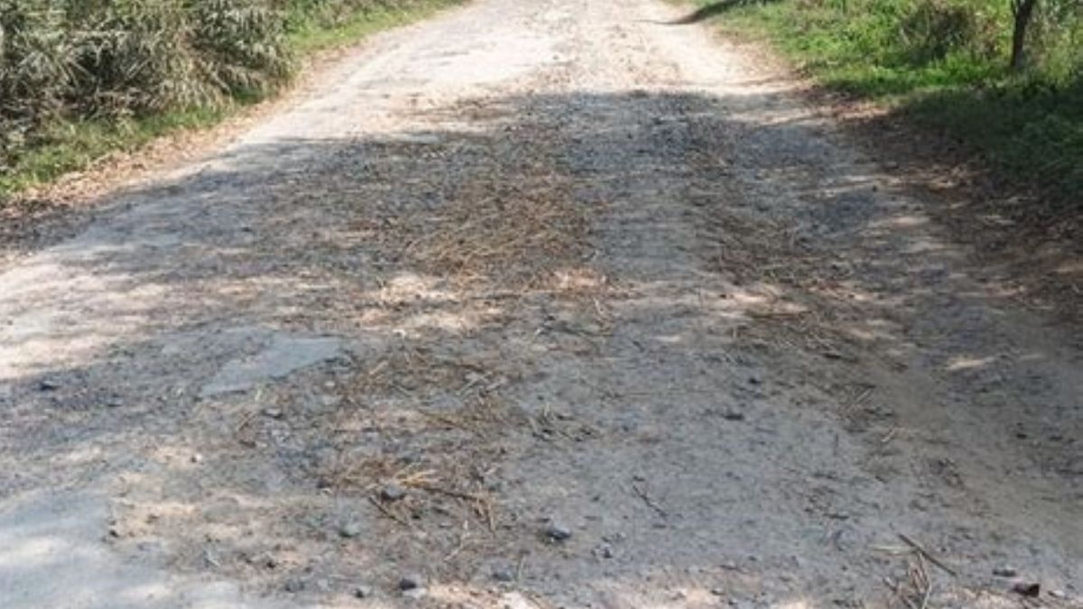 bijnor mandawalimuazzampur road widening project