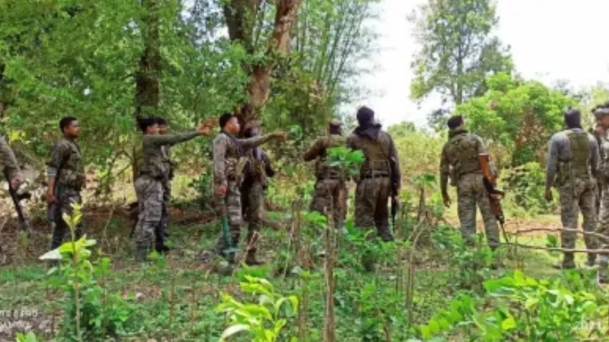 छत्तीसगढ़: आत्मसमर्पित माओवादियों के खिलाफ केस वापस लेगी सरकार
