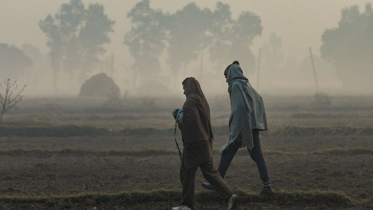 bihar weather update for 10 december 2026 patna and 6 districts temperature drops