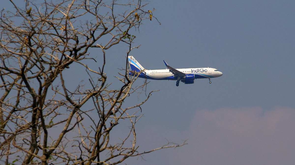 dgca asks indigo ceo to appear on thursday with full data on flight disruptions updates