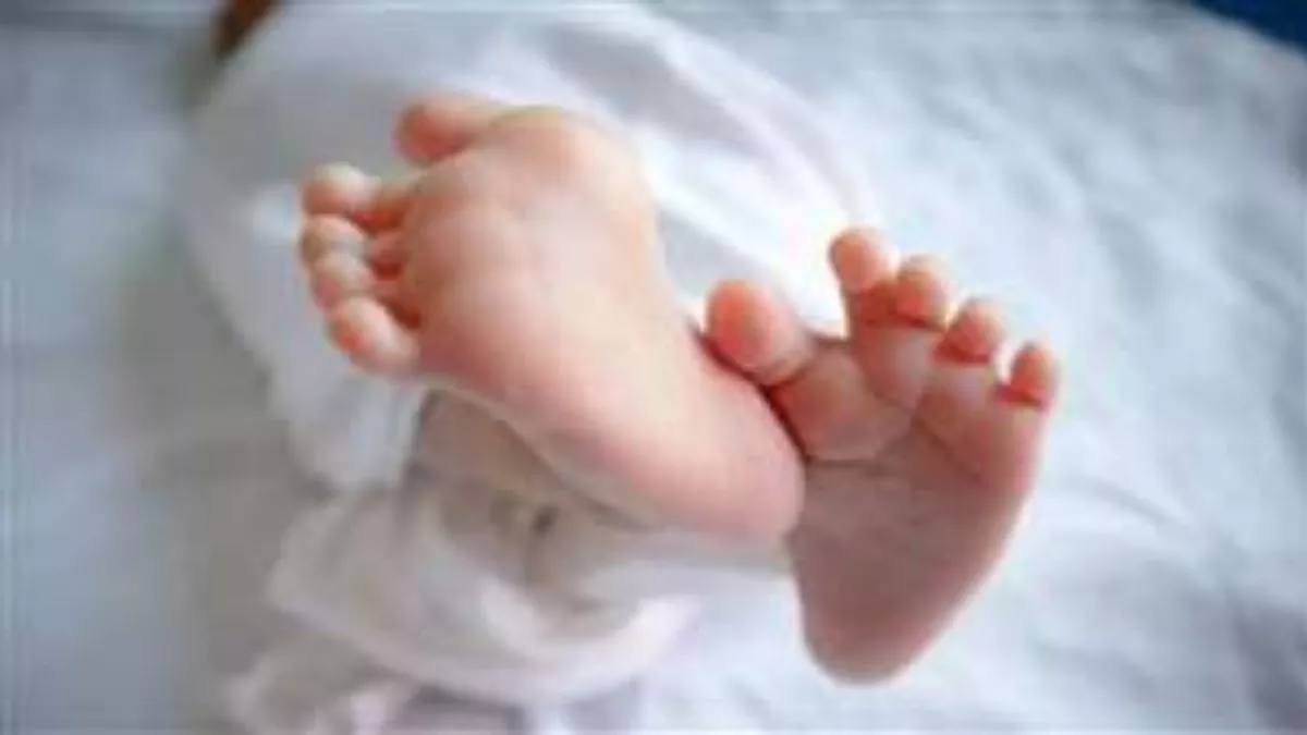 jharkhand newborn twin kidnapped in chatra