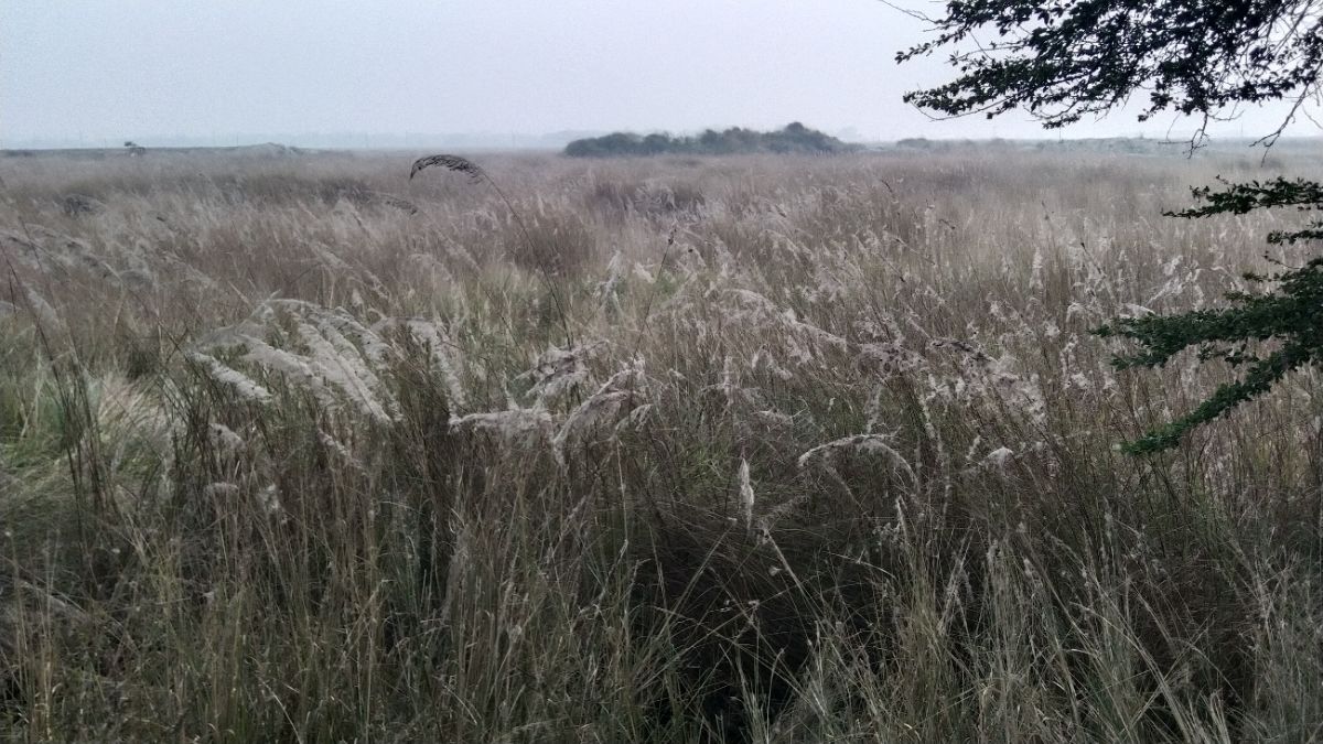 saran police academy will be built on 59 acres in panapur