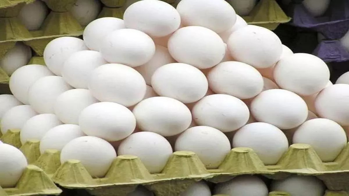 egg dispute leads to assault on vendor in ballia