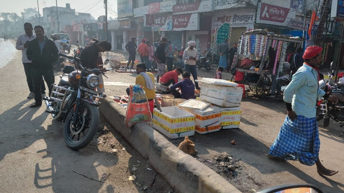 meat fish sold openly in bagaha report