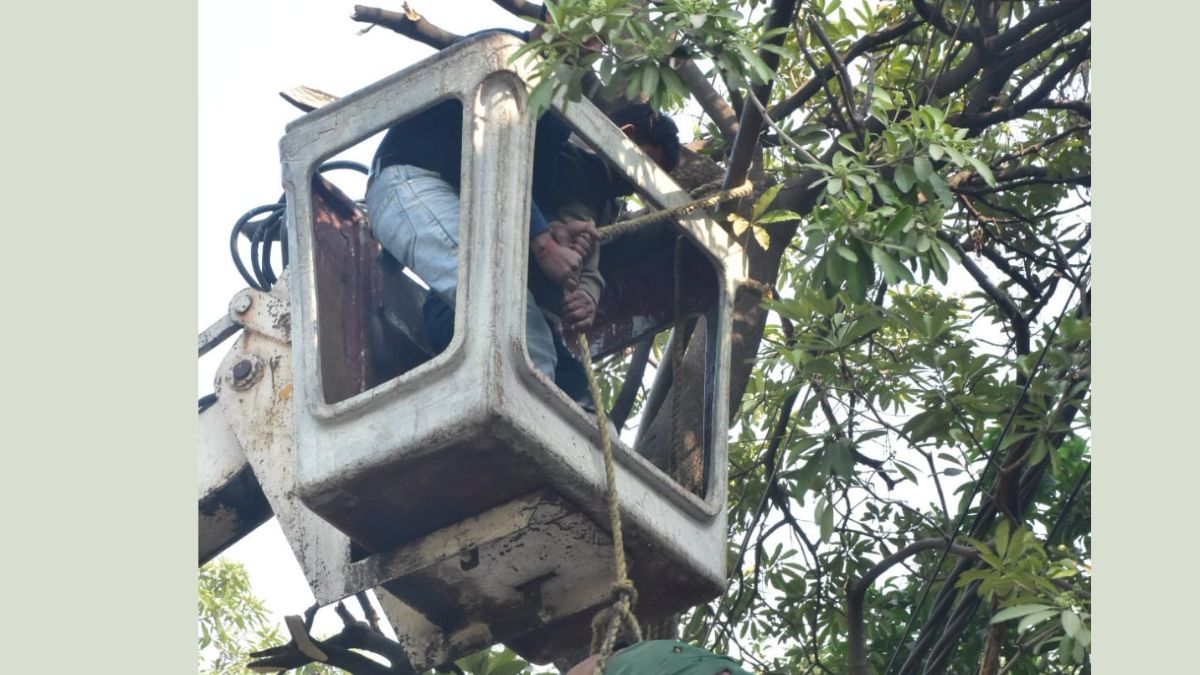 contract worker dies after being electrocuted while working on power line