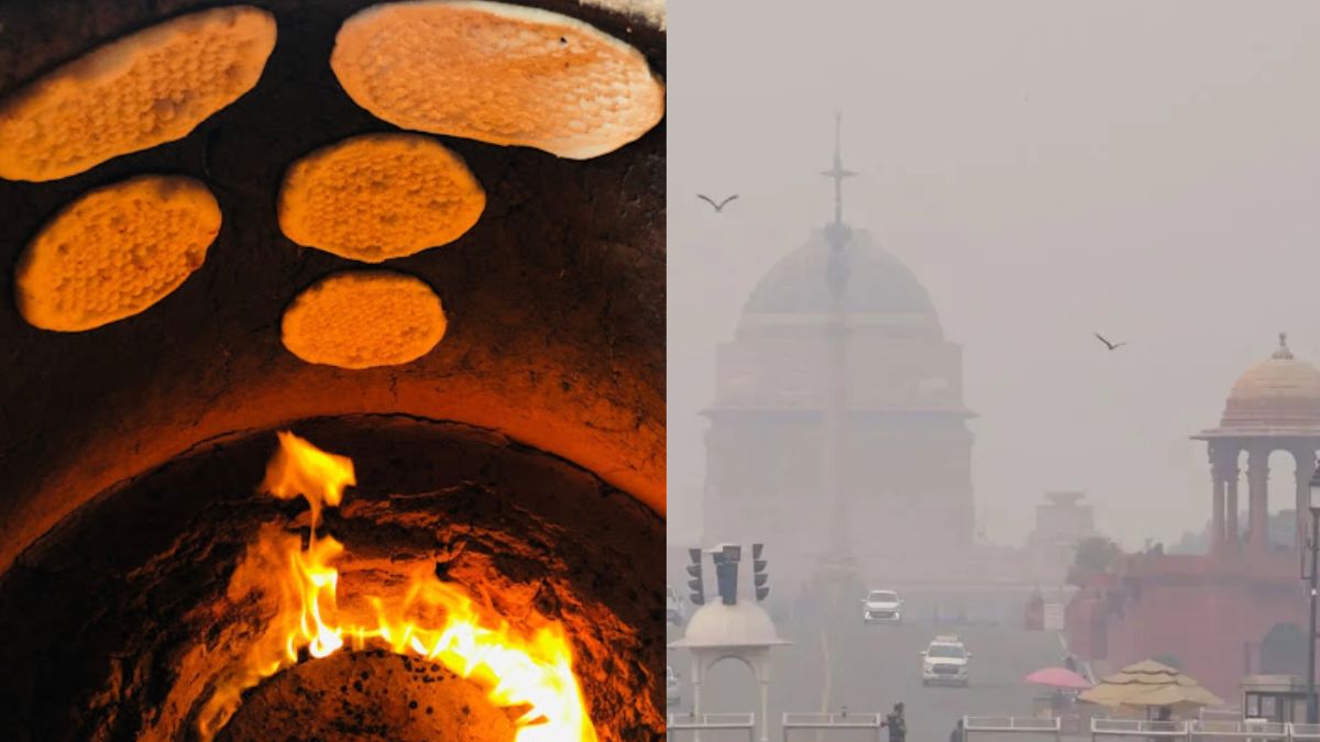 delhi pollution control committee bans coal firewood in all restaurant tandoors