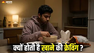 खाने की लत: लक्षण, खतरे और बचाव के तरीके (Picture Credit- AI Generated)