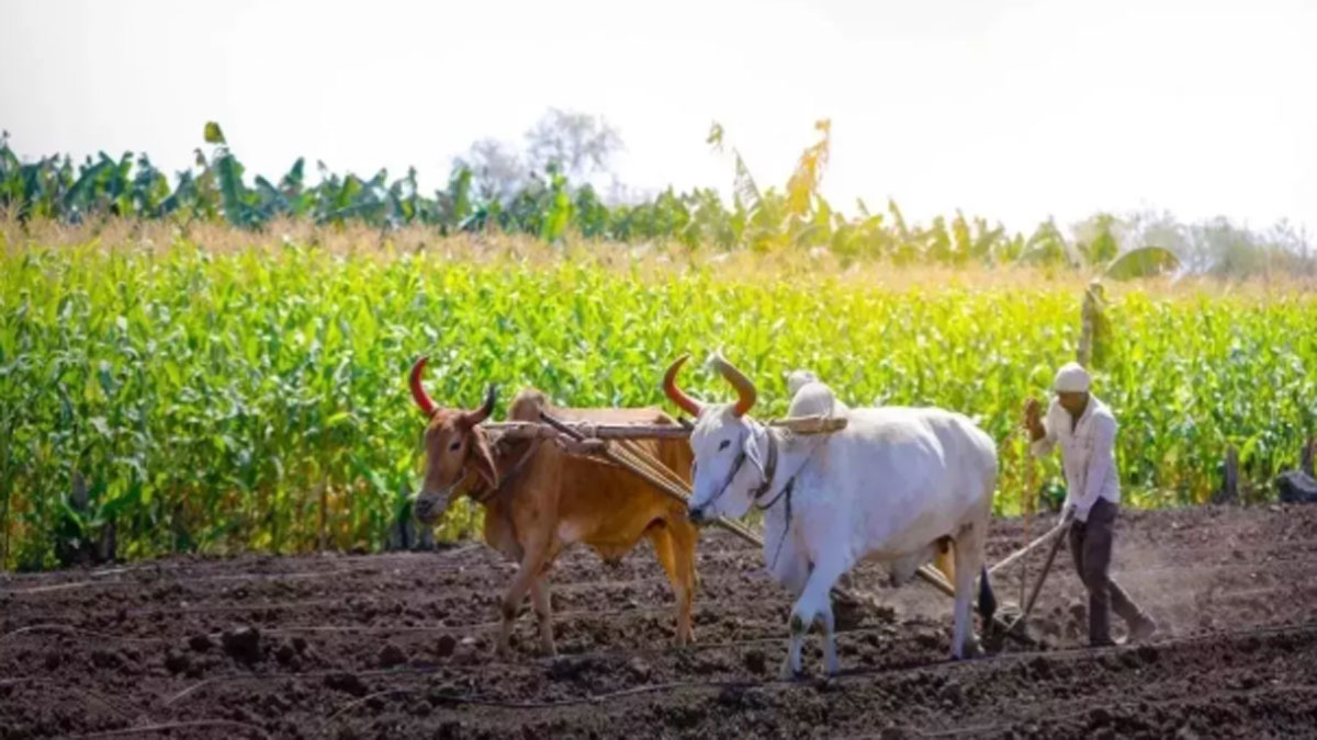 indias first largescale farmer carbon credit model launched