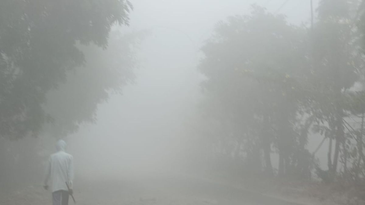 up weather update new western disturbance active on december 12th know today weather forecast agra lucknow bareilly moradabad kanpur