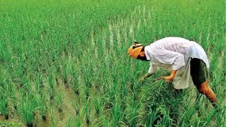 25 किसानों ने प्रशिक्षण लिया