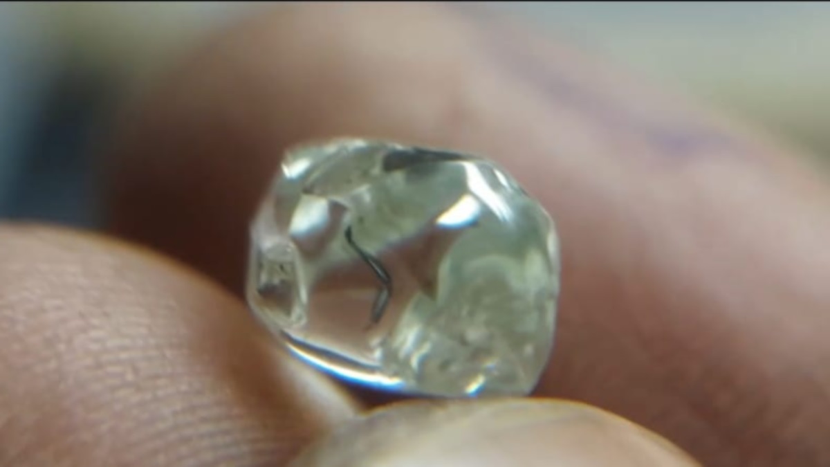 panna farmer finds 339 carat diamond