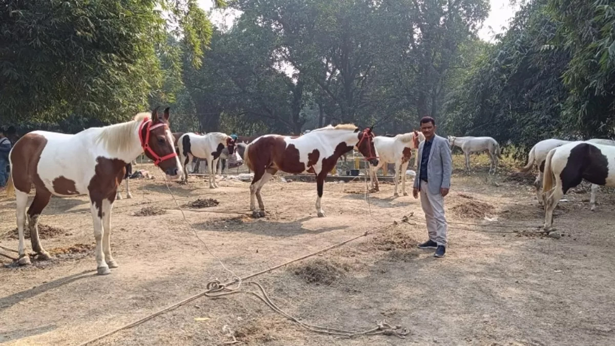 sonpur mela 2025 record animal trade exceeds 30 crores