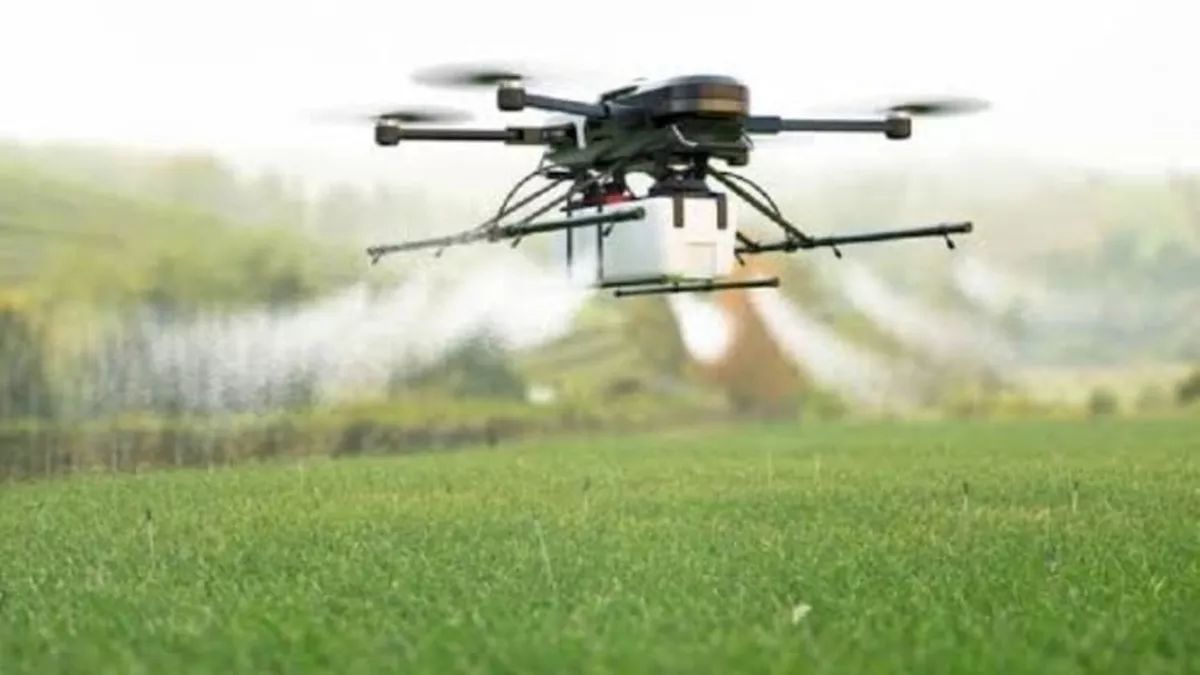 new insecticide spray service 7 minutes 480 rupees hindi news today