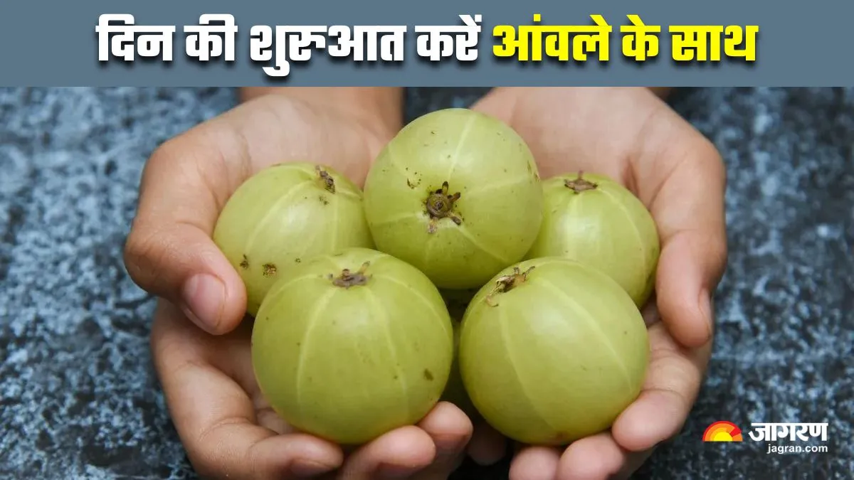 क्या आप जानते हैं सुबह खाली पेट आंवला खाने की ताकत? शरीर को 6 तरीकों से मिलता है फायदा