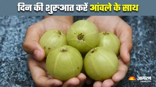 रोज सुबह आंवला खाने से मिलेंगे 5 फायदे (Image Source: Freepik)