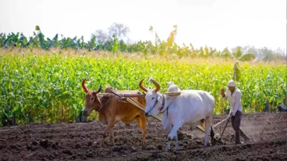 manesar villagers demand removal from agri zone