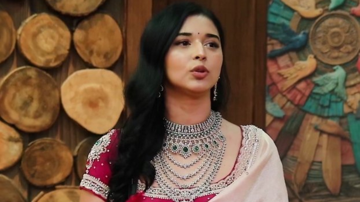 bigg boss 19 tanya mittal accused of keeping outfit and not paying for it as stylist claim