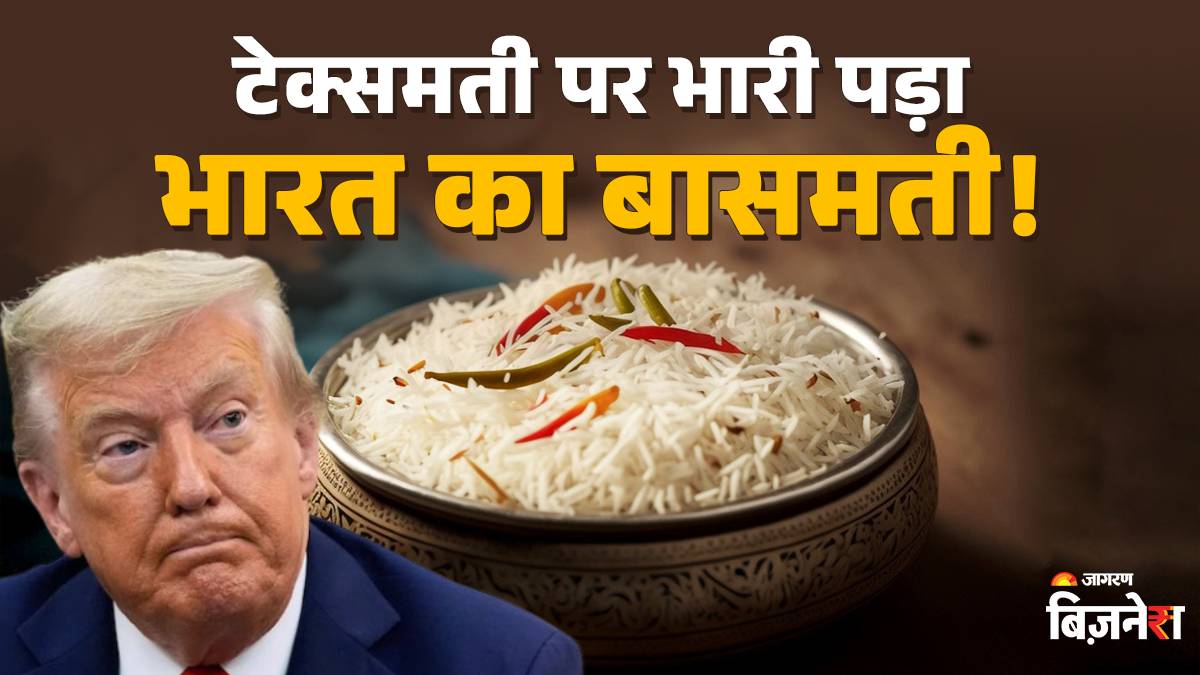 basmati outshines america texmati indian rice dominates us market trump is worried 2000 yearold history
