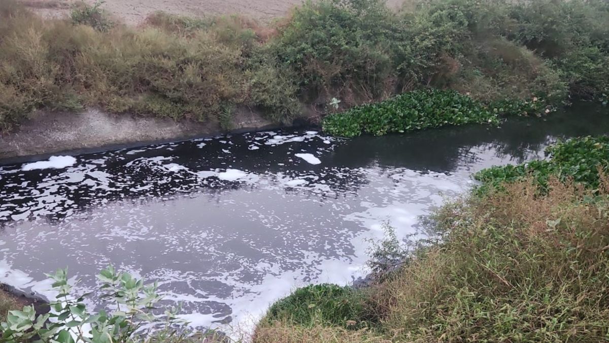 yamuna pollution notice to hsiidc for drain6 pollution