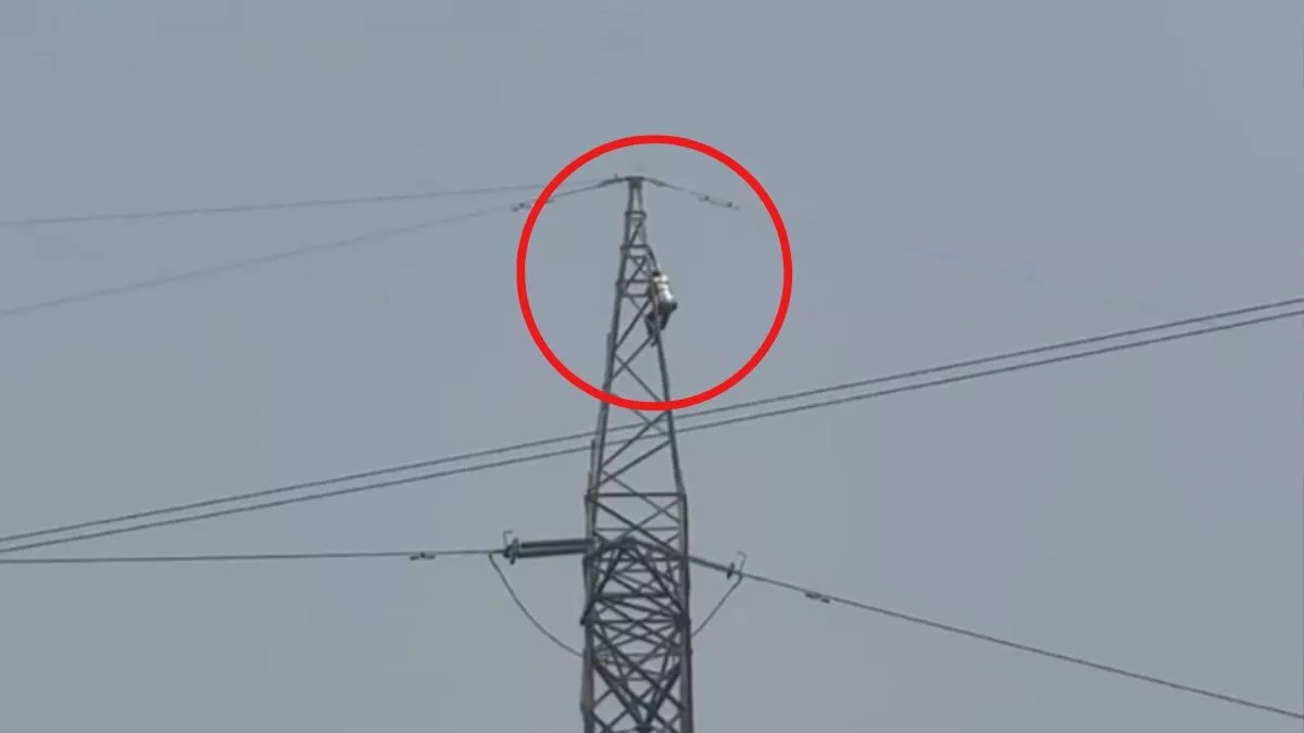 mother of 7 children left home fourth time in mathura husband climbed on electricity pole like veeru of sholey