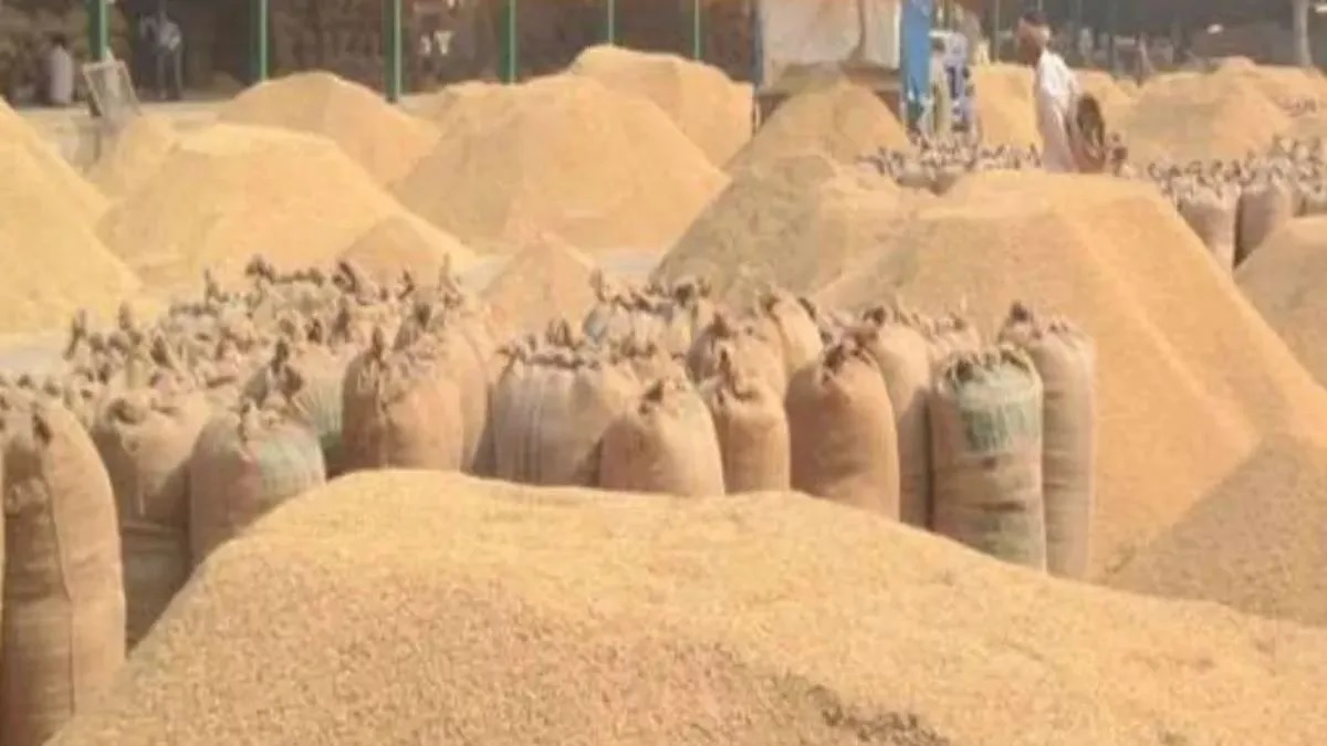 moradabad division paddy procurement lags rampurs slowest sambhal bijnor progress cmr delivery stalled