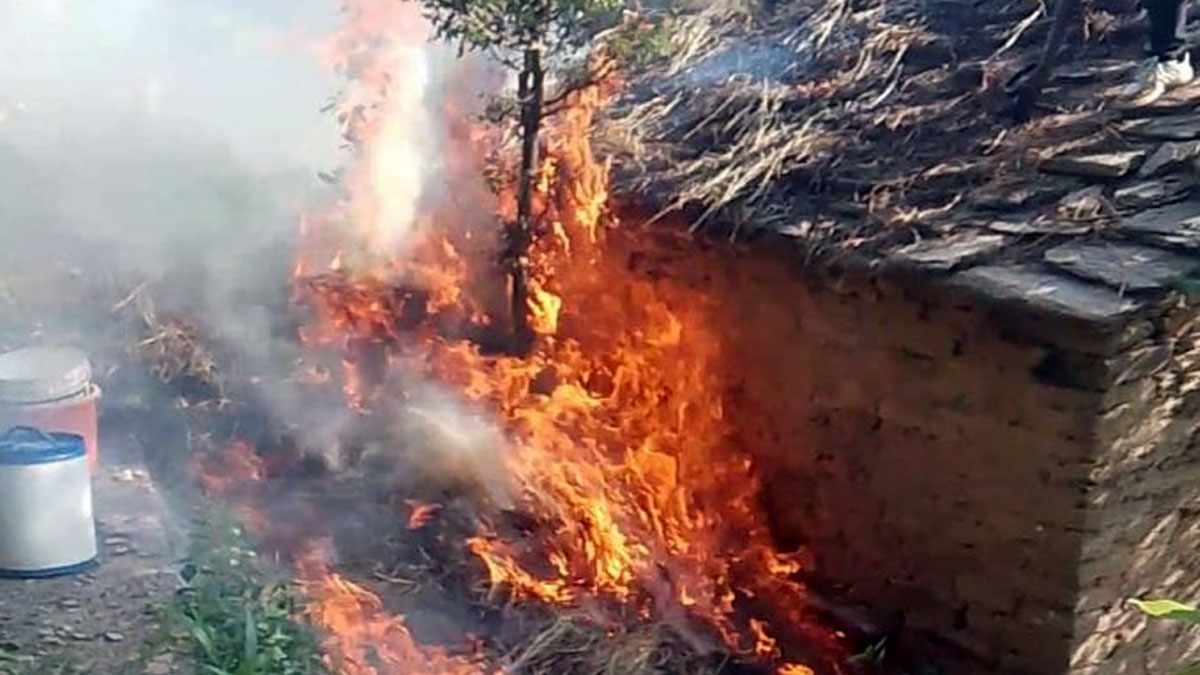 fire breaks out in cowshed in pithoragarh panic erupts after halfburnt body found