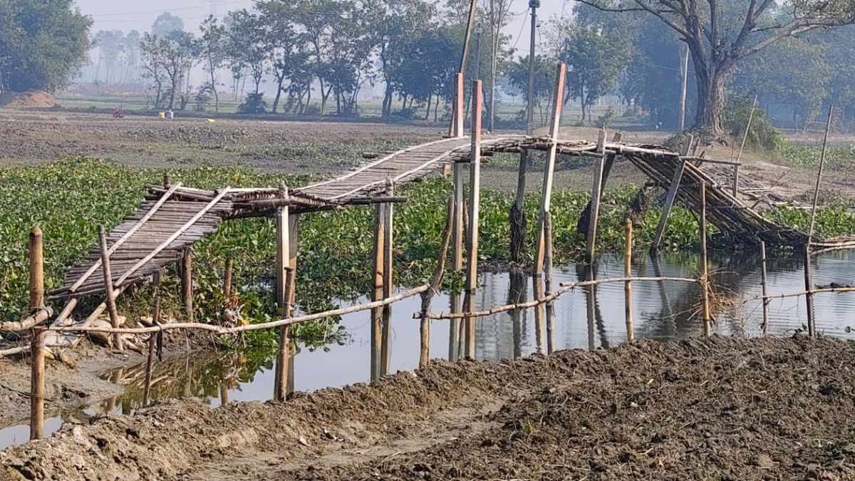 supaul bamboo bridge a lifeline