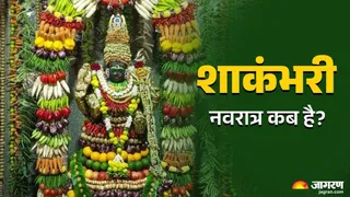 Shakambhari Navratri 2025: शाकंभरी नवरात्र पर करें ये काम।