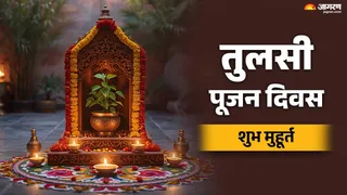 Tulsi Pujan Diwas 2025: तुलसी पूजन का महत्व।