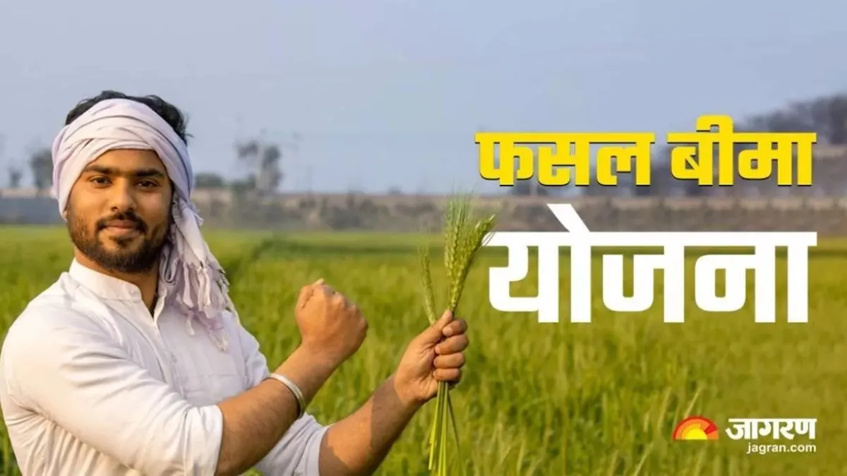 पीएम फसल बीमा योजना के तहत 31 दिसंबर तक जमा कर सकते हैं प्रीमियम, इन किसानों का बीमा खुद-ब-खुद होगा