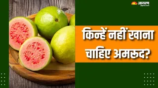 किन्हें नुकसान पहुंचा सकता है अमरूद? (Picture Courtesy: Freepik)