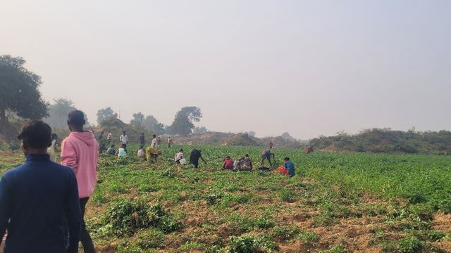 सोन नदी की खेती पर खनन का साया, सैकड़ों किसानों की आजीविका संकट में