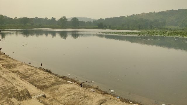 जमशेदपुर में पर्यटन विकास को रफ्तार:अंतरराष्‍ट्रीय पर्यटन के रूप में शुुमार हाेगा Jubilee Park और Dalma अभयारण्य

