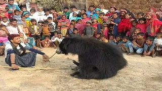 भालू का खेल दिखाता मदारी और दर्शक। ( प्रतीकात्मक फोटो)